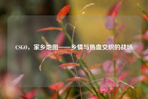 CSGO,家乡地图——乡情与热血交织的战场