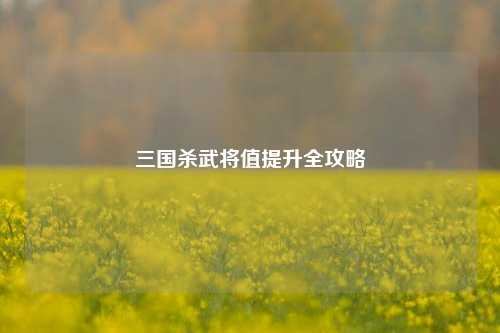 三国杀武将值提升全攻略