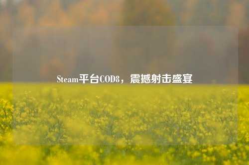 Steam平台COD8，震撼射击盛宴
