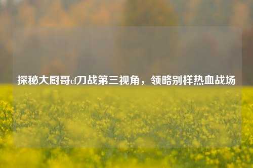 探秘大厨哥cf刀战第三视角,领略别样热血战场