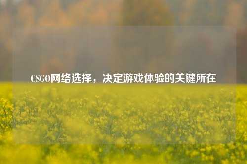 CSGO网络选择，决定游戏体验的关键所在