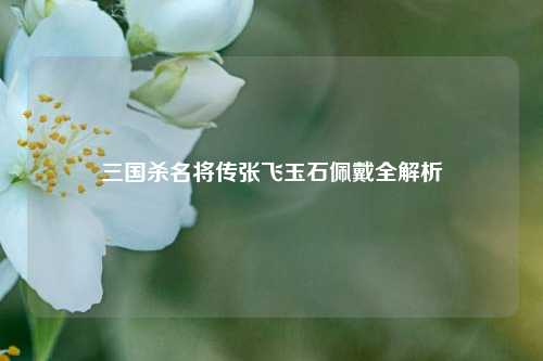 三国杀名将传张飞玉石佩戴全解析