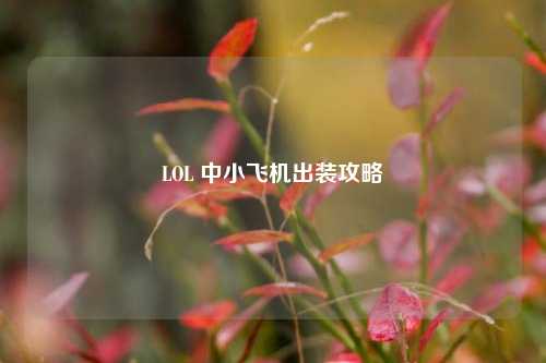LOL 中小飞机出装攻略