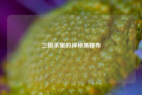 三国杀里的神秘黑桃布