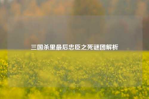 三国杀里最后忠臣之死谜团解析