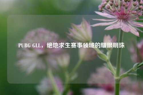 PUBG GLL，绝地求生赛事领域的耀眼明珠