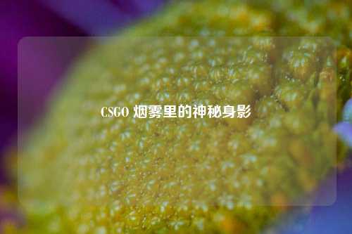 CSGO 烟雾里的神秘身影