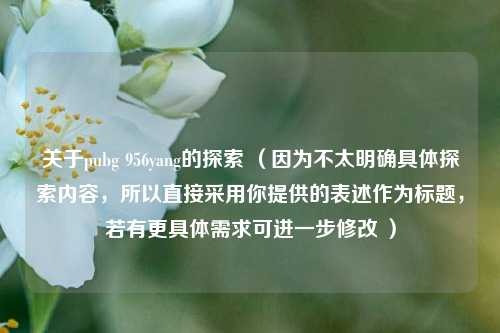 关于pubg 956yang的探索 (因为不太明确具体探索内容,所以直接采用你提供的表述作为标题,若有更具体需求可进一步修改 )