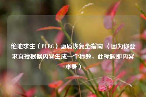 绝地求生(PUBG)画质恢复全指南 (因为你要求直接根据内容生成一个标题,此标题即内容本身)