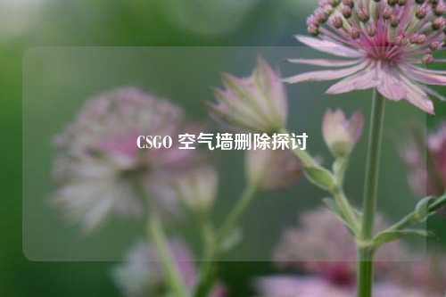 CSGO 空气墙删除探讨