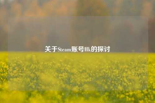 关于Steam账号Hk的探讨