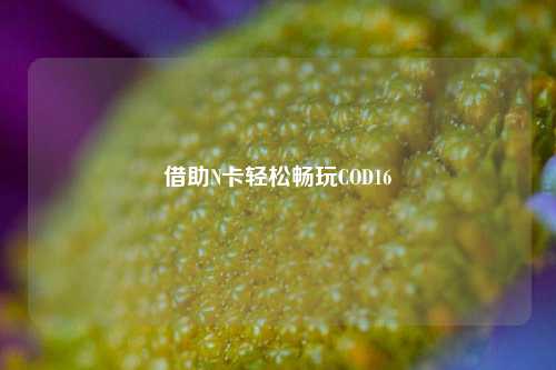 借助N卡轻松畅玩COD16