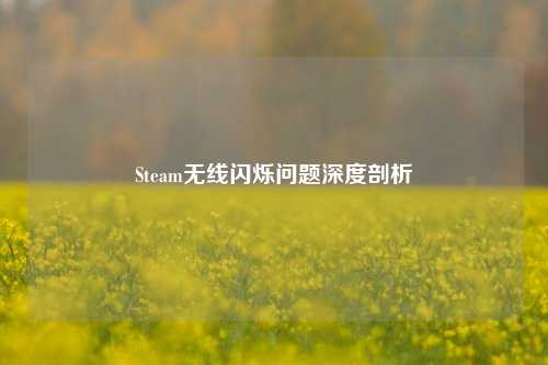 Steam无线闪烁问题深度剖析