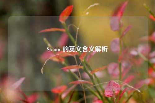 Steam 的英文含义解析