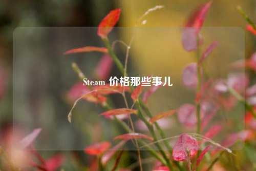 Steam 价格那些事儿