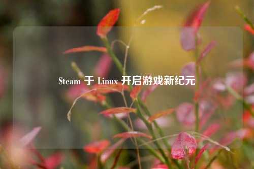 Steam 于 Linux 开启游戏新纪元
