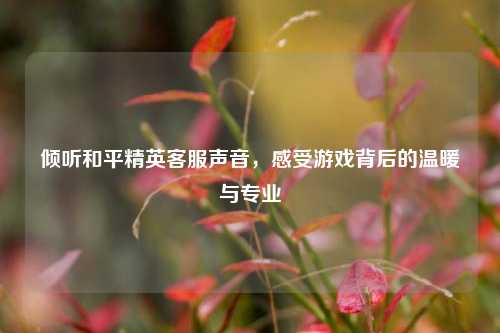 倾听和平精英客服声音，感受游戏背后的温暖与专业