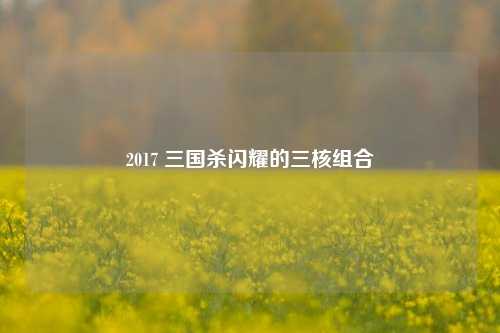 2017 三国杀闪耀的三核组合