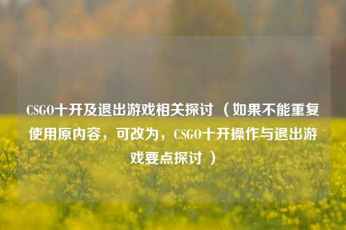 CSGO十开及退出游戏相关探讨 (如果不能重复使用原内容,可改为,CSGO十开操作与退出游戏要点探讨 )