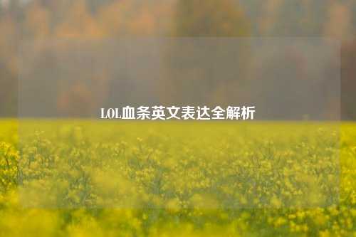 LOL血条英文表达全解析