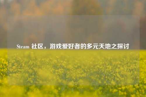 Steam 社区,游戏爱好者的多元天地之探讨
