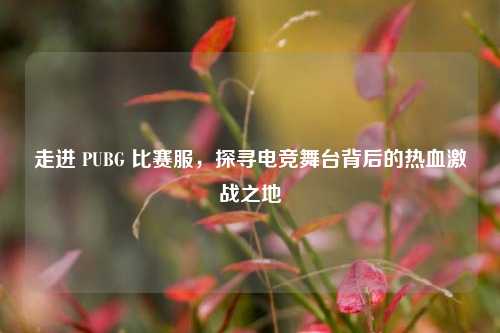 走进 PUBG 比赛服，探寻电竞舞台背后的热血激战之地