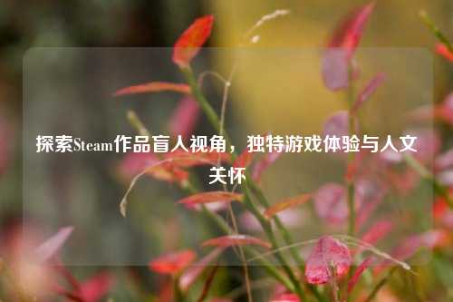 探索Steam作品盲人视角,独特游戏体验与人文关怀