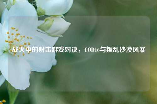 战火中的射击游戏对决，COD16与叛乱沙漠风暴