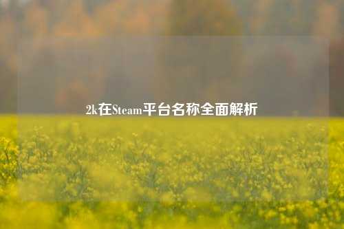 2k在Steam平台名称全面解析