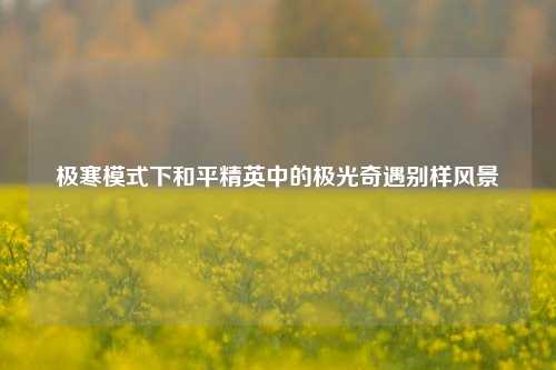 极寒模式下和平精英中的极光奇遇别样风景
