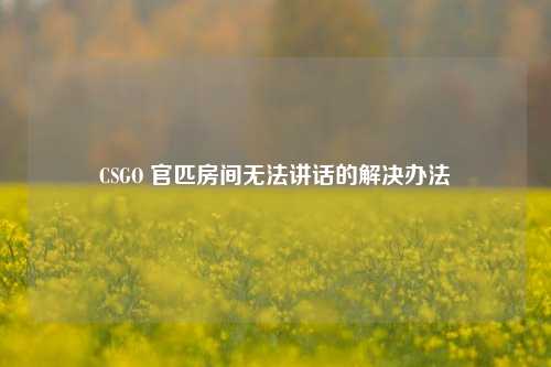 CSGO 官匹房间无法讲话的解决办法