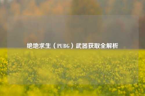 绝地求生（PUBG）武器获取全解析