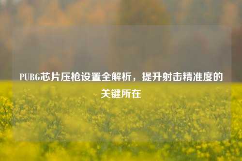 PUBG芯片压枪设置全解析,提升射击精准度的关键所在
