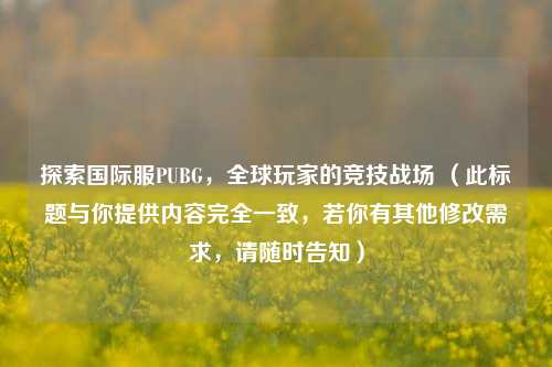 探索国际服PUBG,全球玩家的竞技战场 (此标题与你提供内容完全一致,若你有其他修改需求,请随时告知)