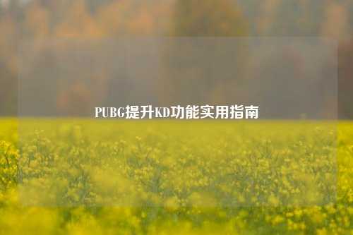 PUBG提升KD功能实用指南