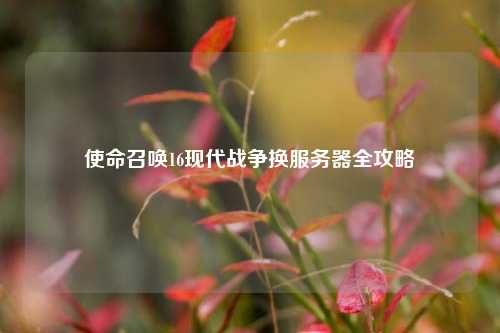 使命召唤16现代战争换服务器全攻略