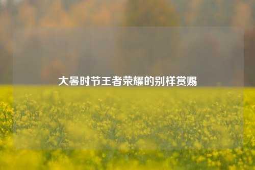 大暑时节王者荣耀的别样赏赐
