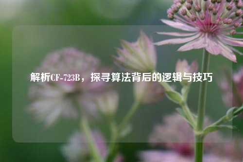解析CF-723B，探寻算法背后的逻辑与技巧