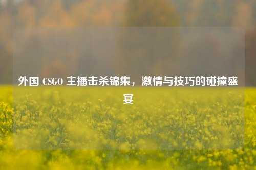 外国 CSGO 主播击杀锦集，激情与技巧的碰撞盛宴