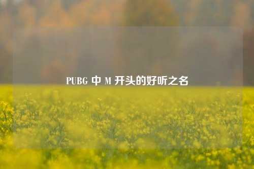 PUBG 中 M 开头的好听之名