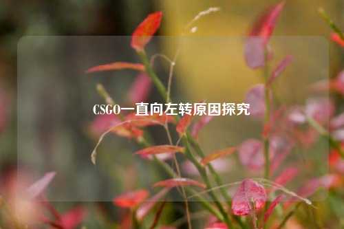 CSGO一直向左转原因探究