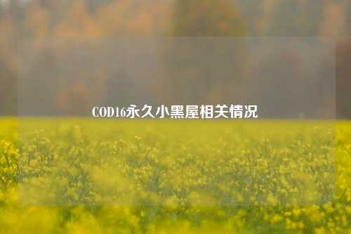 COD16永久小黑屋相关情况
