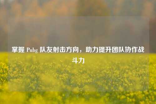 掌握 Pubg 队友射击方向,助力提升团队协作战斗力