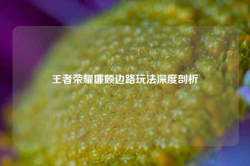 王者荣耀廉颇边路玩法深度剖析
