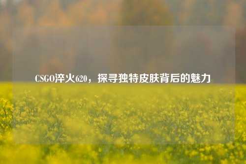 CSGO淬火620，探寻独特皮肤背后的魅力