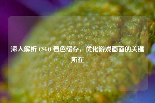 深入解析 CSGO 着色缓存，优化游戏画面的关键所在