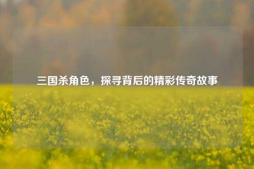 三国杀角色,探寻背后的精彩传奇故事