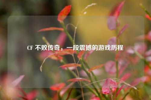 CF 不败传奇，一段震撼的游戏历程