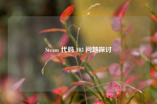 Steam 代码 103 问题探讨