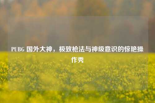 PUBG 国外大神,极致枪法与神级意识的惊艳操作秀